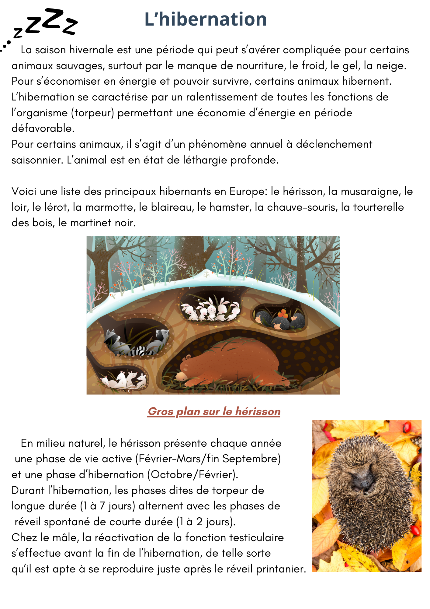 Fevrier 2024