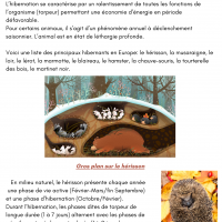Fevrier 2024