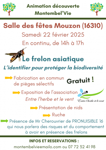 Animation frelons
